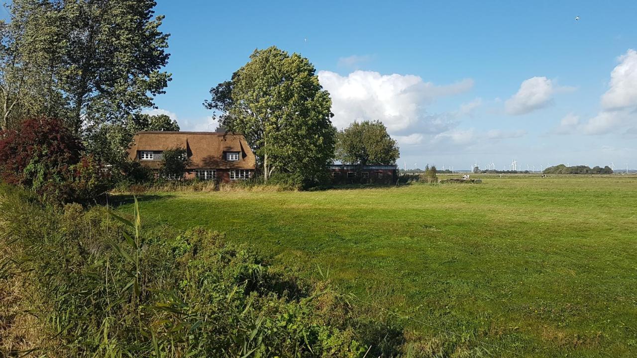 Ferienwohnung Marschkieker - Kleiner Deichhof 哈特施泰特马施 外观 照片